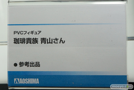 ワンダーフェスティバル 2016［冬］のアオシマのフィギュアサンプル画像　秋津洲　翔鶴改二　瑞鶴改二　速吸　ネコネ　青山さん　13