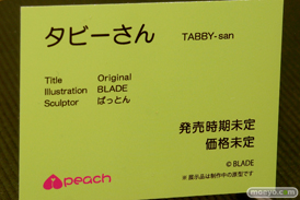 ワンダーフェスティバル 2016［冬］のネイティブのフィギュアサンプル画像　06