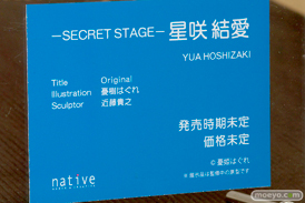 ワンダーフェスティバル 2016［冬］のネイティブのフィギュアサンプル画像　12