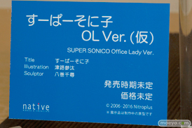 ワンダーフェスティバル 2016［冬］のネイティブのフィギュアサンプル画像　18