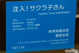 ワンダーフェスティバル 2016［冬］のネイティブのフィギュアサンプル画像　24