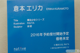 ワンダーフェスティバル 2016［冬］のネイティブのフィギュアサンプル画像　27
