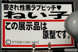 ワンダーフェスティバル 2016［冬］の岡山フィギュア・エンジニアリングのフィギュアサンプル画像　02
