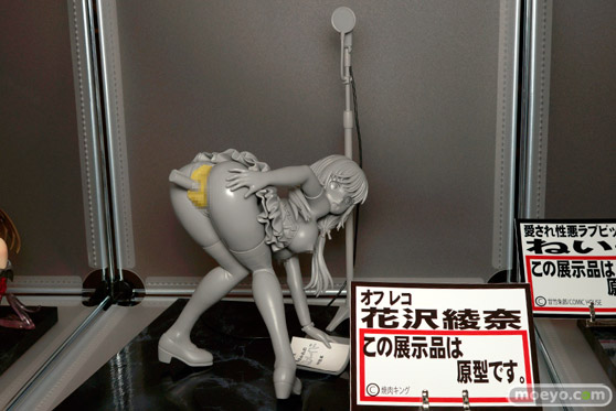 ワンダーフェスティバル 2016［冬］の岡山フィギュア・エンジニアリングのフィギュアサンプル画像　10