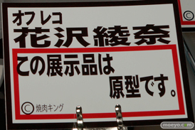 ワンダーフェスティバル 2016［冬］の岡山フィギュア・エンジニアリングのフィギュアサンプル画像　11