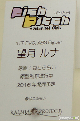 ワンダーフェスティバル 2016［冬］のエンブレイスジャパン＆マイルストンのフィギュアサンプル画像　28