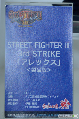 ワンダーフェスティバル 2016［冬］のエンブレイスジャパン＆マイルストンのフィギュアサンプル画像　45