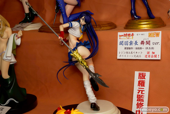 ワンダーフェスティバル 2016［冬］のアミエ・グランの関羽雲長 舞戦ver.のフィギュアサンプル画像　03