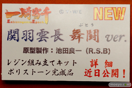 ワンダーフェスティバル 2016［冬］のアミエ・グランの関羽雲長 舞戦ver.のフィギュアサンプル画像　08