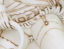 「そに子」「アリス」「種島ぽぷら」など キューズQブース新作フィギュア特集（後編）【WF2016冬】