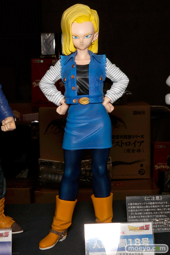 ワンダーフェスティバル 2016［冬］のエクスプラスのフィギュアサンプル画像　ロール　18号08