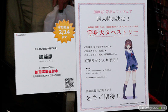 ワンダーフェスティバル 2016［冬］のアニプレックスのフィギュアサンプル画像　シールダー　セイバ－　宮園かをり　31