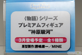 ワンダーフェスティバル 2016［冬］のセガのフィギュアサンプル画像　アスカ　レイ　セガ・ハード・ガールズ　枝垂ほたる　20