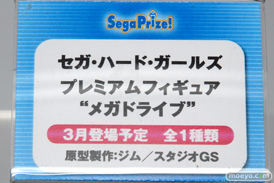 ワンダーフェスティバル 2016［冬］のセガのフィギュアサンプル画像　アスカ　レイ　セガ・ハード・ガールズ　枝垂ほたる　22