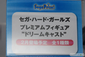 ワンダーフェスティバル 2016［冬］のセガのフィギュアサンプル画像　アスカ　レイ　セガ・ハード・ガールズ　枝垂ほたる　24