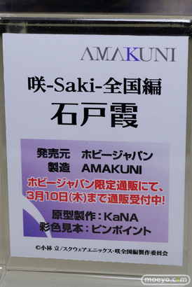 ワンダーフェスティバル 2016［冬］のホビージャパンのフィギュアサンプル画像　石戸霞　ほむら　まどか　ナナリー 04