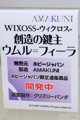 ワンダーフェスティバル 2016［冬］のホビージャパンのフィギュアサンプル画像　石戸霞　ほむら　まどか　ナナリー 08