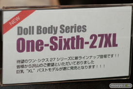 「ワンダーフェスティバル 2016［冬］」の東京ドールの新作ドール画像　三世村正05