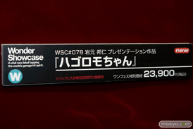ワンダーフェスティバル 2016［冬］のワンダーショウケース作品展示の様子 10