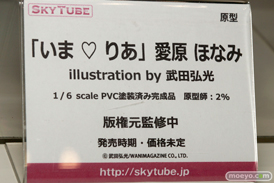 スカイチューブのいま ♡ りあ 愛原ほなみの新作フィギュア原型サンプル画像10