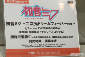 アルファマックスの初音ミク -二次元ドリームフィーバーver.-のフィギュアサンプル展示画像09