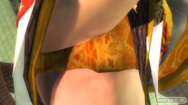 DEAD OR ALIVE 5 Last Roundの戦国無双』コラボレーションコスチュームのサンプル画像　パンツ　エロ　女天狗12