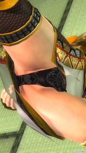 DEAD OR ALIVE 5 Last Roundの戦国無双』コラボレーションコスチュームのサンプル画像　パンツ　エロ　女天狗23