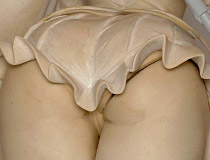 お尻造形が秀逸！ヴェルテクス新作フィギュア「新妹魔王の契約者（テスタメント） 野中柚希」製作中原型が展示！【WF2016冬】