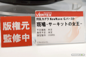 ヴェルテクスの閃乱カグラ New Wave Gバースト 斑鳩-サーキットの女王-の新作フィギュア原型画像13