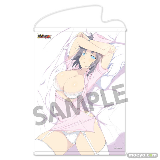 閃乱カグラ NewWave Gバースト B2タペストリー 雪泉　芭蕉　 麗王　 斑鳩＆詠のサンプル画像01