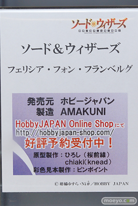 秋葉原の美少女フィギュア展示の様子 フリージア　フェリシア　カイ・ハーン　ラブライブ！07