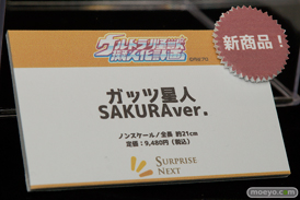 カフェレオ キャラクター コンベンション 2016春の美少女フィギュア展示の様子特集画像その04　16