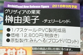 あみあみ、コトブキヤ、ソフマップ、ボークスなど秋葉原のお店の美少女フィギュア展示の様子27