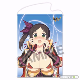 閃乱カグラ 叢 おっぱいマウスパッド B2タペストリー＆フラットタイプクッション付限定版のサンプル画像03