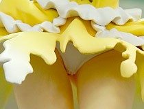 「オンシジューム」「エーリカ」「愛原ほなみ」など 秋葉原の新作フィギュア週末展示の様子