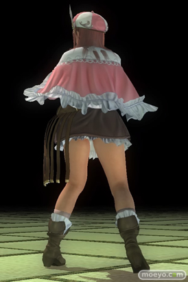 DEAD OR ALIVE 5 Last Roundのガスト』 コラボレーションコスチュームのマリーとほのかの衣装＆パンツ画像06