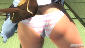 DEAD OR ALIVE 5 Last Roundのガスト』 コラボレーションコスチュームのマリーとほのかの衣装＆パンツ画像10