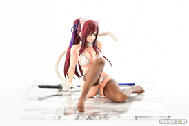 オルカトイズのFAIRY TAIL エルザ・スカーレット・白猫Gravure_Styleの新作フィギュアサンプル画像16