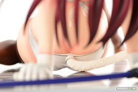 オルカトイズのFAIRY TAIL エルザ・スカーレット・白猫Gravure_Styleの新作フィギュアサンプル画像67