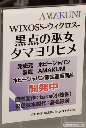 井伊直虎　柳生十兵衛　ゆきめ　などメガホビEXPO 2015 Springのホビージャパンの新作フィギュア展示の様子26