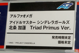 神谷奈緒　北条加漣　菅生あすか　リリーナ　ヒイロ　などメガホビEXPO 2015 Springのアルファオメガの新作フィギュア展示の様子06