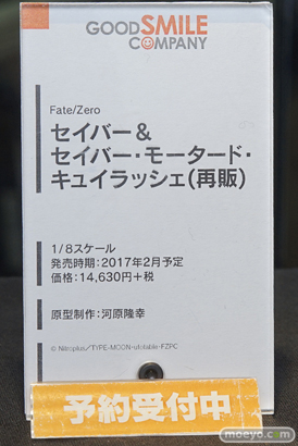 秋葉原の美少女フィギュア展示の様子　エルザ　プリンツ　ピンナップガール05
