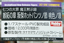 秋葉原の美少女フィギュア展示の様子　エルザ　プリンツ　ピンナップガール23