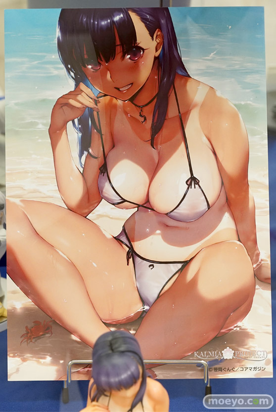 秋葉原の美少女フィギュア展示の様子　エルザ　プリンツ　ピンナップガール26