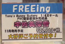 リュウ　フレミー・スピッドロウ　ほか秋葉原の新作フィギュア展示の様子24