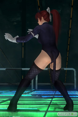 DEAD OR ALIVE 5 Last RoundのFAIRY TAIL』コラボコスチュームのヒトミ　ほのか　フェーズ4のコスチュームとパンツの画像20