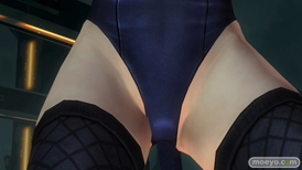 DEAD OR ALIVE 5 Last RoundのFAIRY TAIL』コラボコスチュームのヒトミ　ほのか　フェーズ4のコスチュームとパンツの画像21