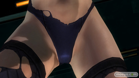 DEAD OR ALIVE 5 Last RoundのFAIRY TAIL』コラボコスチュームのヒトミ　ほのか　フェーズ4のコスチュームとパンツの画像27