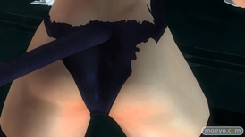 DEAD OR ALIVE 5 Last RoundのFAIRY TAIL』コラボコスチュームのヒトミ　ほのか　フェーズ4のコスチュームとパンツの画像28