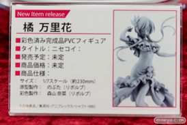 ララ　新条アキノ　夢塔ハナ　など 秋葉原での新作フィギュアの様子画像26